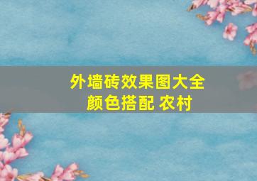 外墙砖效果图大全 颜色搭配 农村